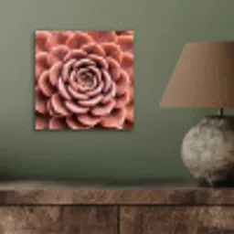 Vetplant - Organisch - Roze aluminium wit klein -sfeer2