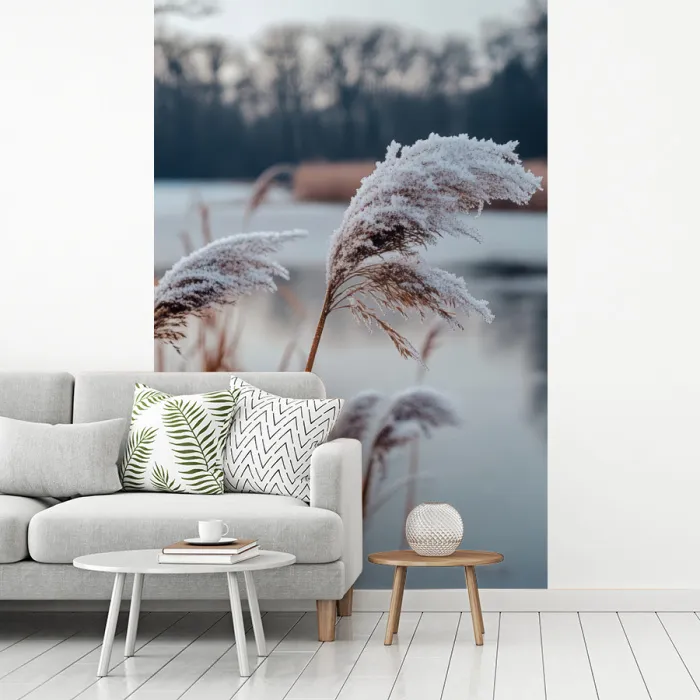 Riet - Gras - Natuur - Winter - Meer fotobehang vinyl groot -woonkamer