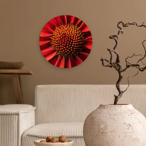 Close up - Bloem- Rood Wandcirkel plexiglas klein -sfeer1