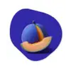 Meloen - Blauw - Oranje - Kunstzinnig Wandcirkel Organisch Forex 3mm klein -3d