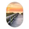 Zonsonderang - Zee - Pad - Gras - Duin - Vogels Wandcirkel Ovaal Forex klein -3d