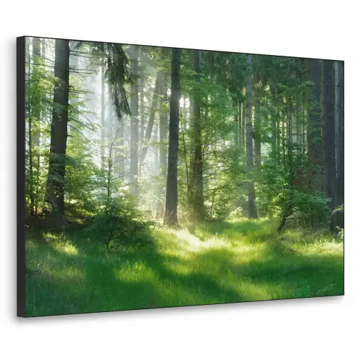 Natuur - Bomen - Bos - Groen - Zon - Gras - Planten Textielframe - compleet frame klein -3d