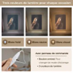 Roofvogel - Buizerd - Bruin Light Box met kabel (Kinderlampje) klein -USP_lichtkleurFR