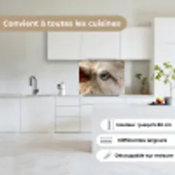 Schaap - Oog - Wit keuken achterwand 2 middel -sfeer4_FR