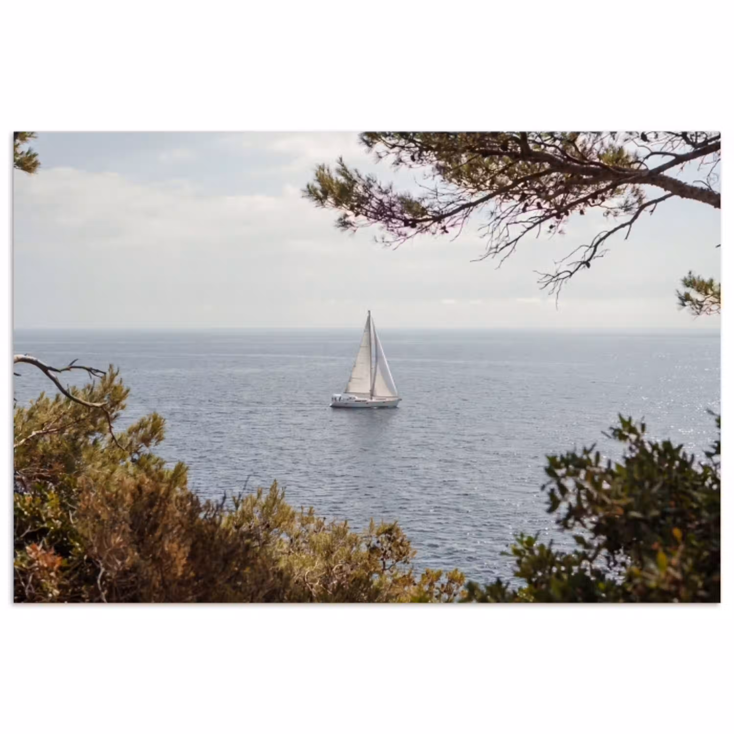Zeilboot - bomen - water poster papier klein -3d