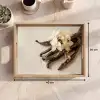 Vanille - Bloemen - Beige Dienblad Rechthoek middel -USP_Formaat