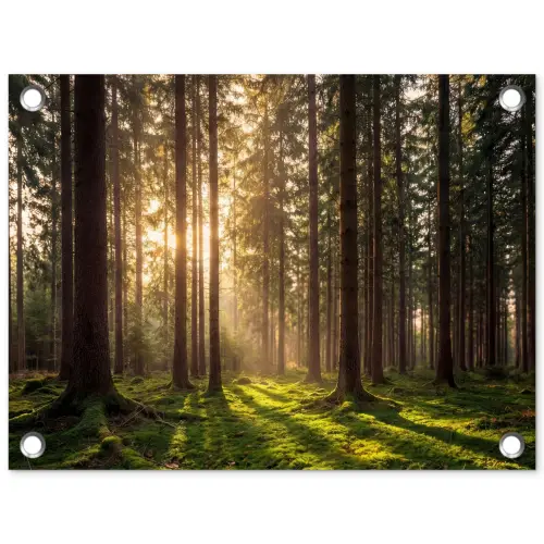 Bos - Gras - Zonlicht tuinposter los doek klein -3d