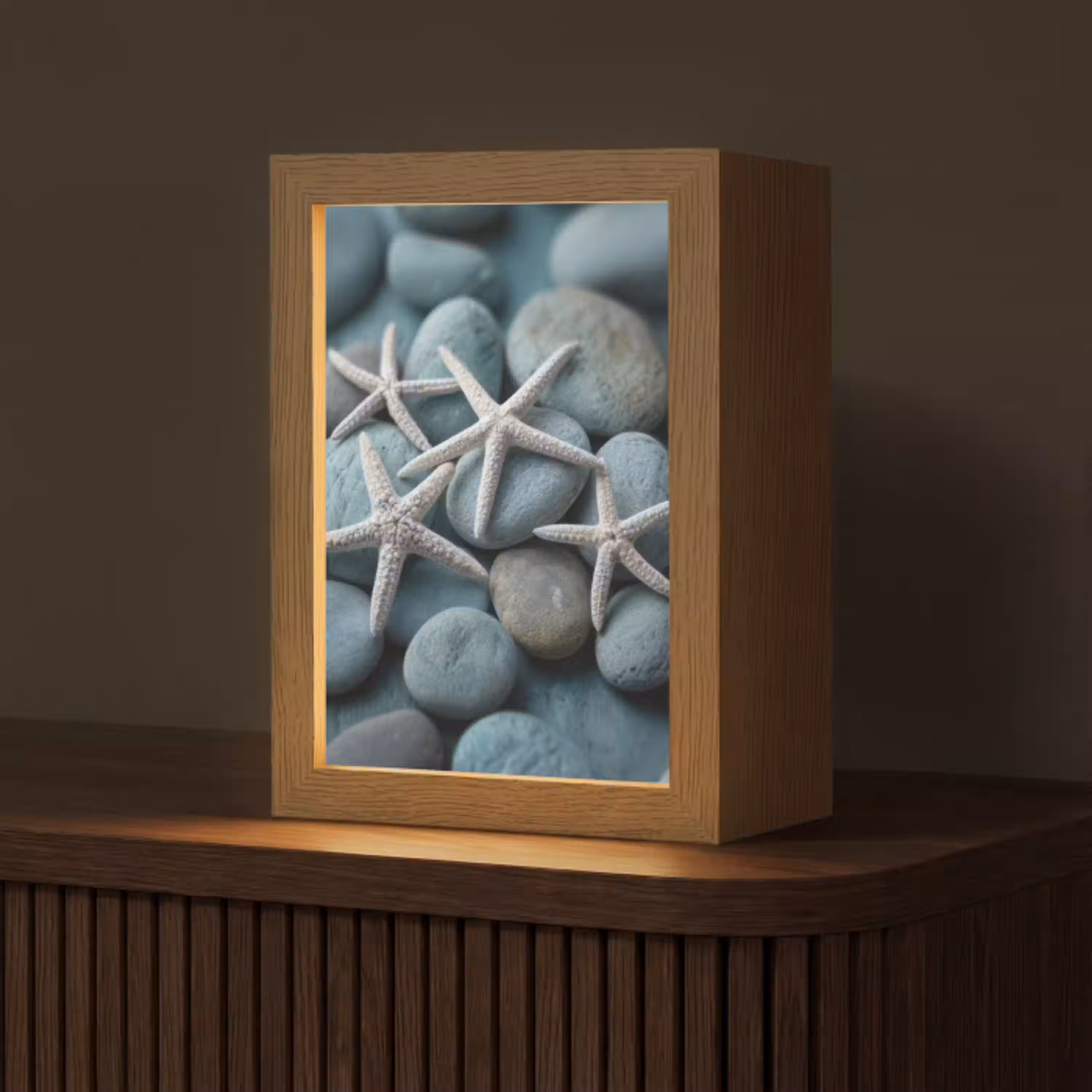 Zeesterren - Stenen - Wit Light Box met kabel (Tafellamp) klein -z3d_website