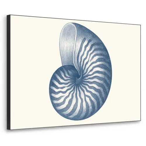 Blauw - Schelp - Spiraal Textielframe zwart klein -3d