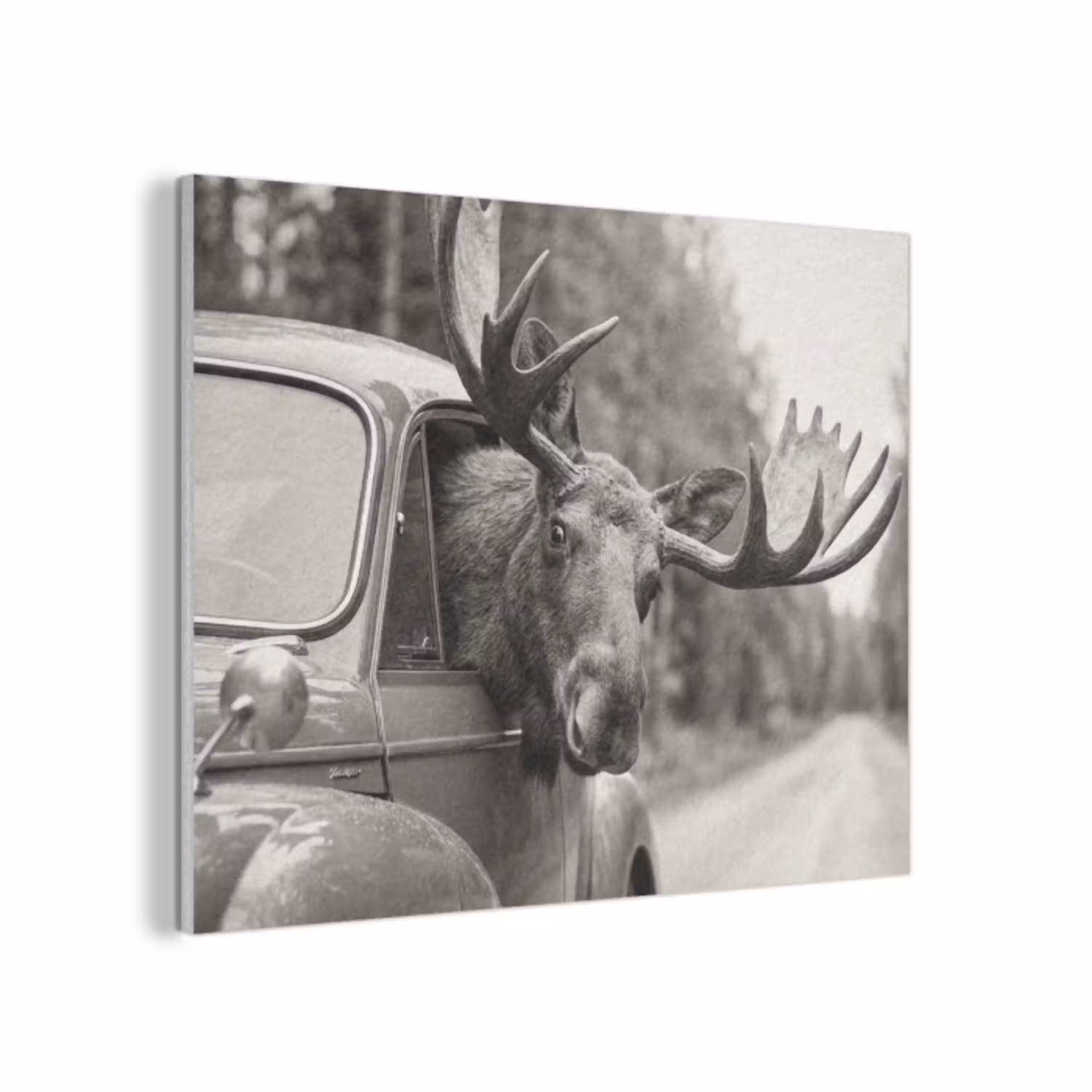 Eland - Auto - Gewei - Zwart - Wit PET vilt klein -3d