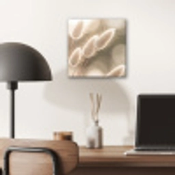 Hazestaartgras - Wit - Zonlicht aluminium wit klein -sfeer5