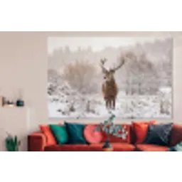 Edelhert - Bos - Sneeuw - Winter - Majestueus forex 5mm xxl -woonkamer