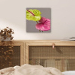 Planten - Anthurium - Groen - Roze aluminium wit klein -sfeer3