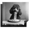 Poedel - Hond - Zwart - Wit - Schattig - Pasta Inductie beschermer vinyl 3mm middel -3d