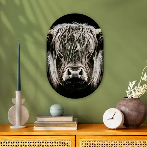 Schotse hooglander - Goud - Hoorns - Zwart wit - Koe - Dieren Wandcirkel Ovaal Forex klein -sfeer2