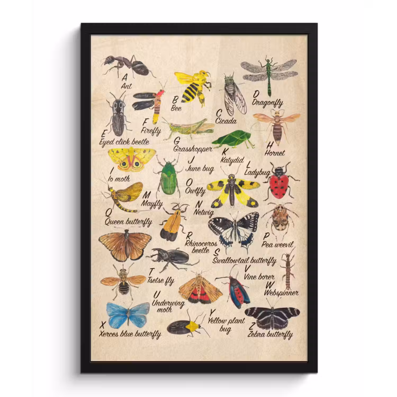 Poster met lijst - Alfabet - Insecten - Educatief - Retro - Bruin - Jongens - Meid - Kinderen