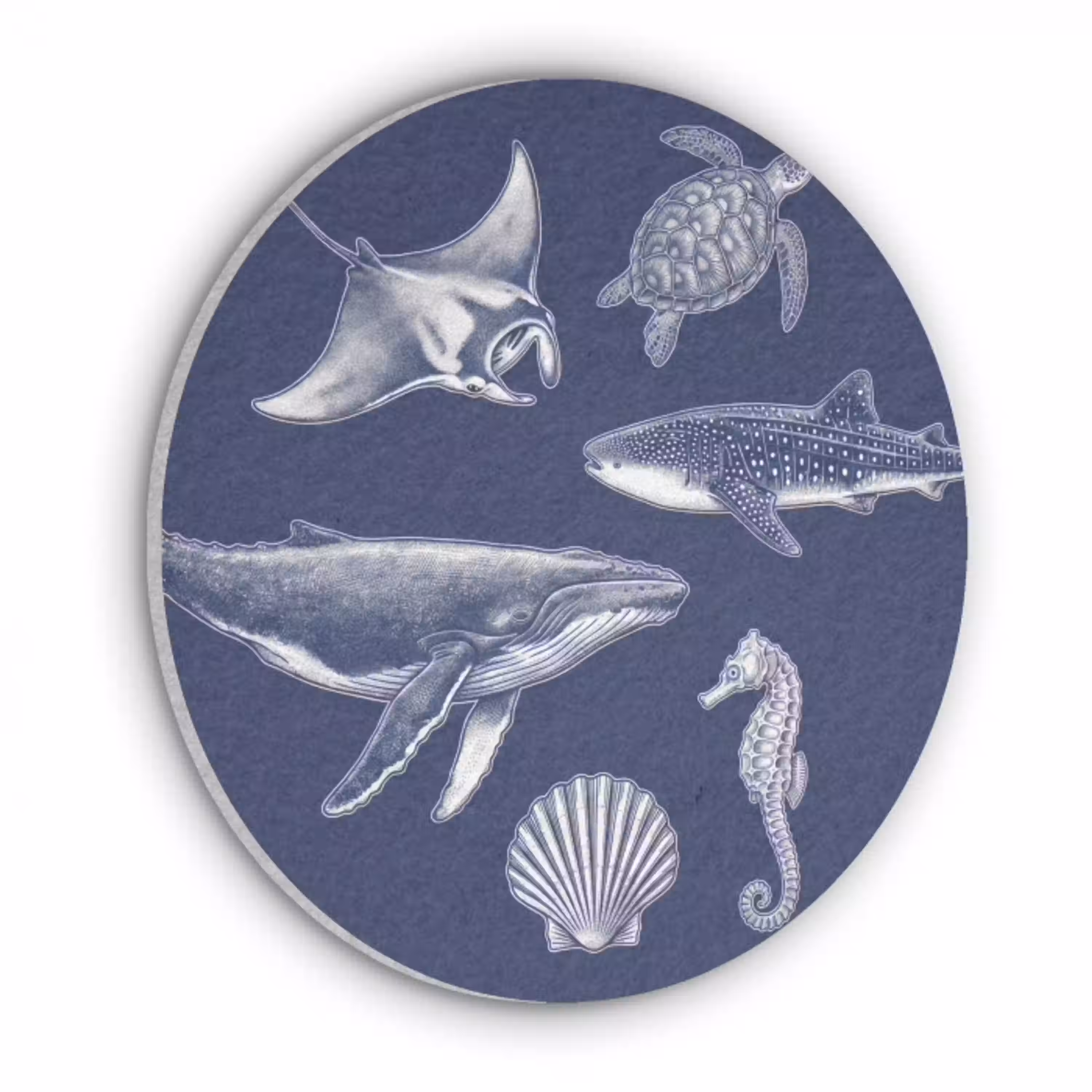 Dieren - Zeeleven - Oceaan - Graveren - Blauw Akoestische PET Vilt - Rond klein -3d