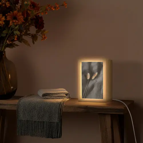 Pampasgras - Pluim - Zwart - Beige Light Box met kabel (Tafellamp) klein -sfeer4