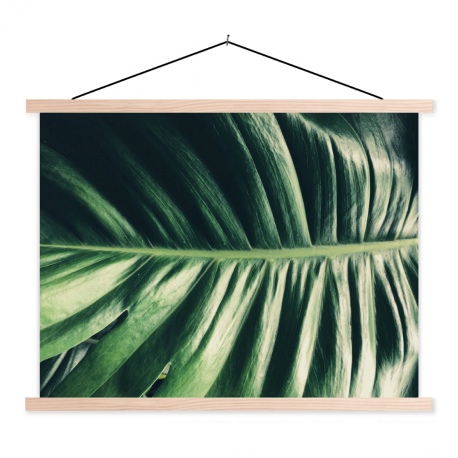 Tropisch - Inductie mat - Natuur - Inductie beschermer - Jungle textielposter latten blank klein -3d