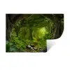 Jungle - Groen - Natuur - Tropisch - Planten Muursticker klein -3d