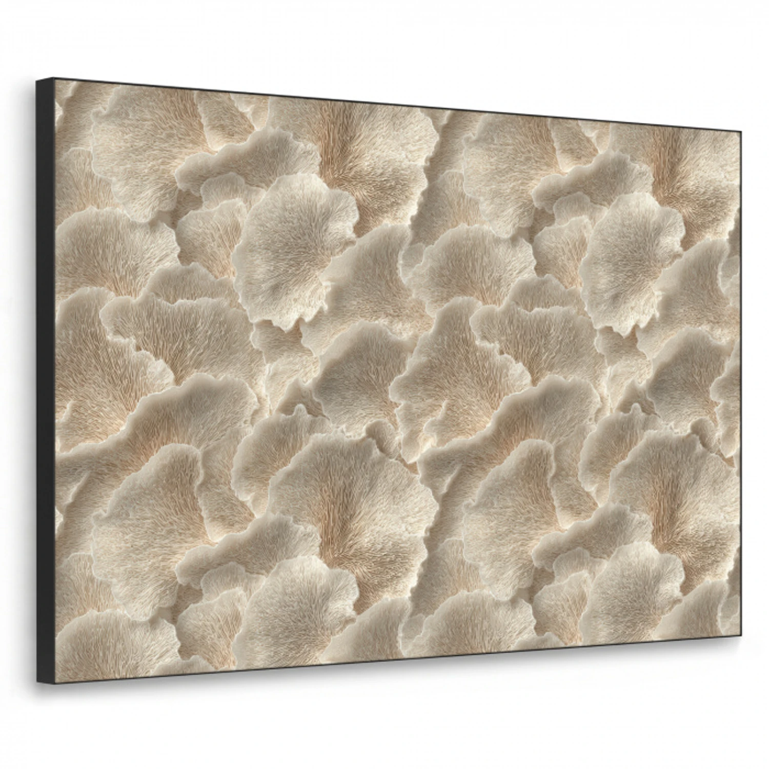 Waaierstructuren - Beige - Vezeltextuur Textielframe zwart klein 947 -3d
