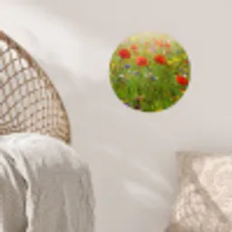 Lente - Bloemen - Rood - Klaproos - Gras - Groen Wandcirkel behangsticker klein -sfeer4