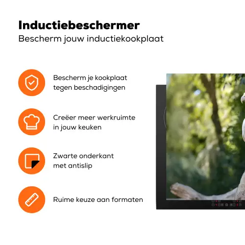 Arend - Hout - Wit - Planten Inductie beschermer vinyl 3mm klein -zzzzzzz-td-ups