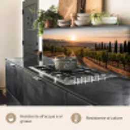 Wijngaard - Zonsondergang - Landschap keuken achterwand 2 middel -usp_IT