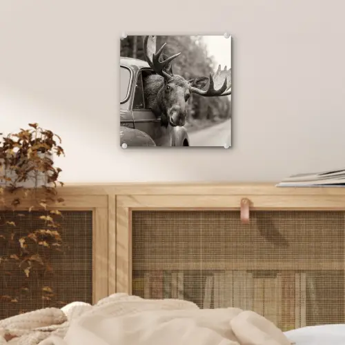 Eland - Auto - Gewei - Zwart - Wit plexiglas 5mm klein -sfeer4