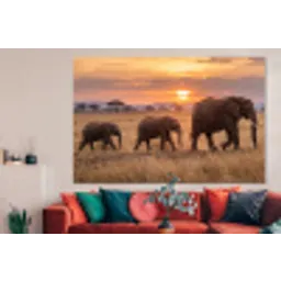 Olifanten - Savanne - Zonsondergang - Afrika - Warm forex 5mm xxl -woonkamer
