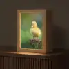 Kuiken - Eend - Geel - Gras Light Box met kabel (Tafellamp) klein -z3d_website