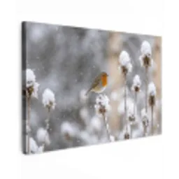 Roodborstje - Gedroogde bloem - Sneeuw - Winter - Vertederend canvas 2cm klein -z3d