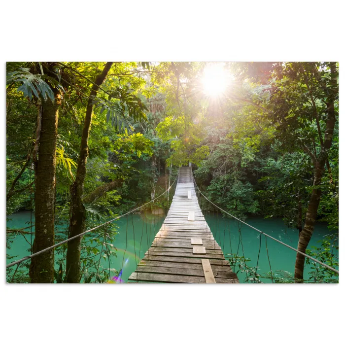 Jungle - Water - Brug - Natuur - Planten poster papier klein -3d