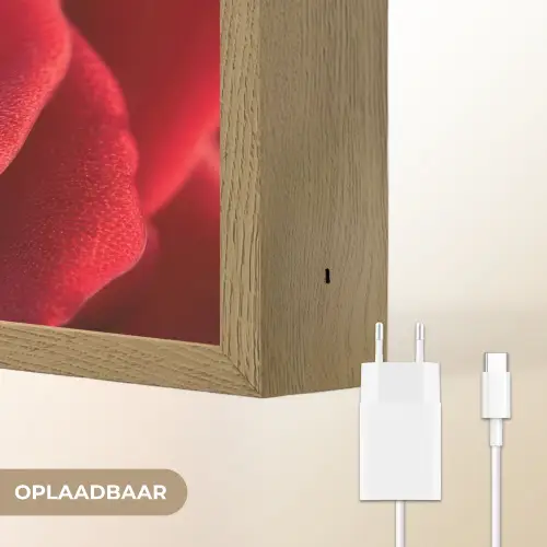 Rood - Roos - Romantisch Light Box met batterij (Wandlamp) middel -USP_websiteoplaadbaarNL