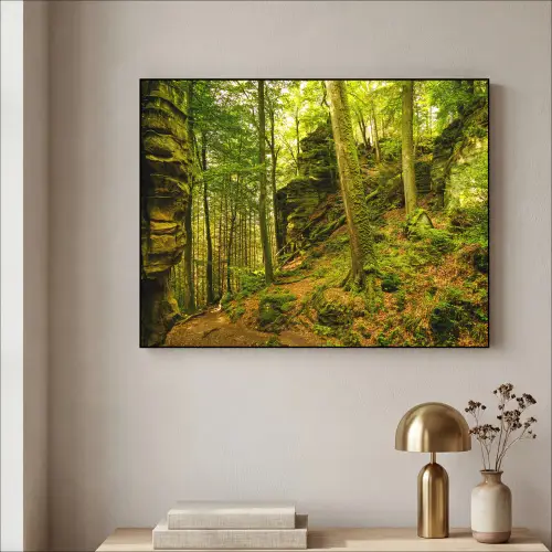 Bomen - Steen - Bos - Natuur - Planten Textielframe zwart klein -sfeer2
