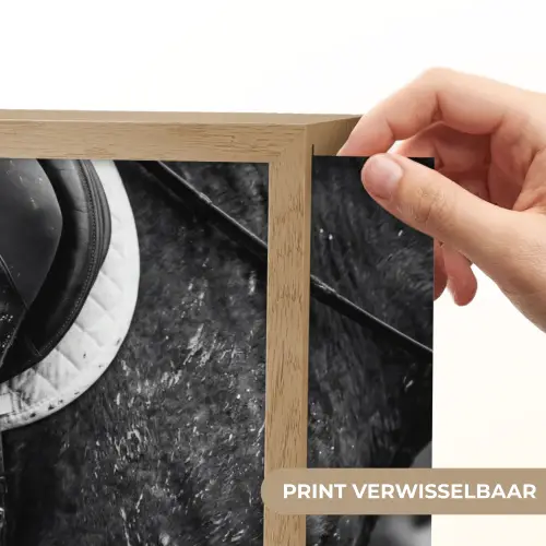 Paard - Sport - Zwart - Wit Light Box met batterij (Wandlamp) middel -USP_websiteprintNL