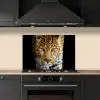 Luipaard - Dieren - Portret - Wilde dieren - Zwart keuken achterwand spatscherm klein -sfeer1