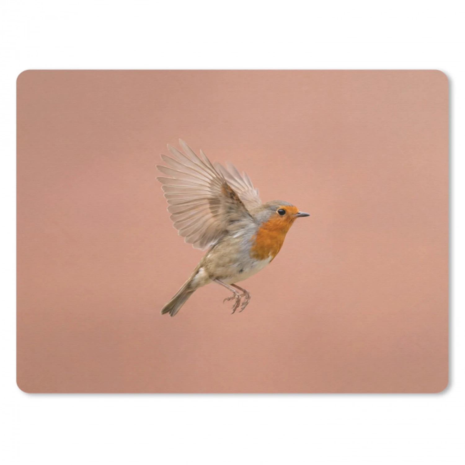 Roodborst - Natuur - Roze muismat rubber klein -3d