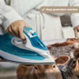 Texas Longhorn - Kalf - Weide - Dieren Wandkleed katoen middel -sfeer9