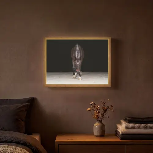 Paard - Modern - Portret Light Box met batterij (Wandlamp) middel -sfeer4