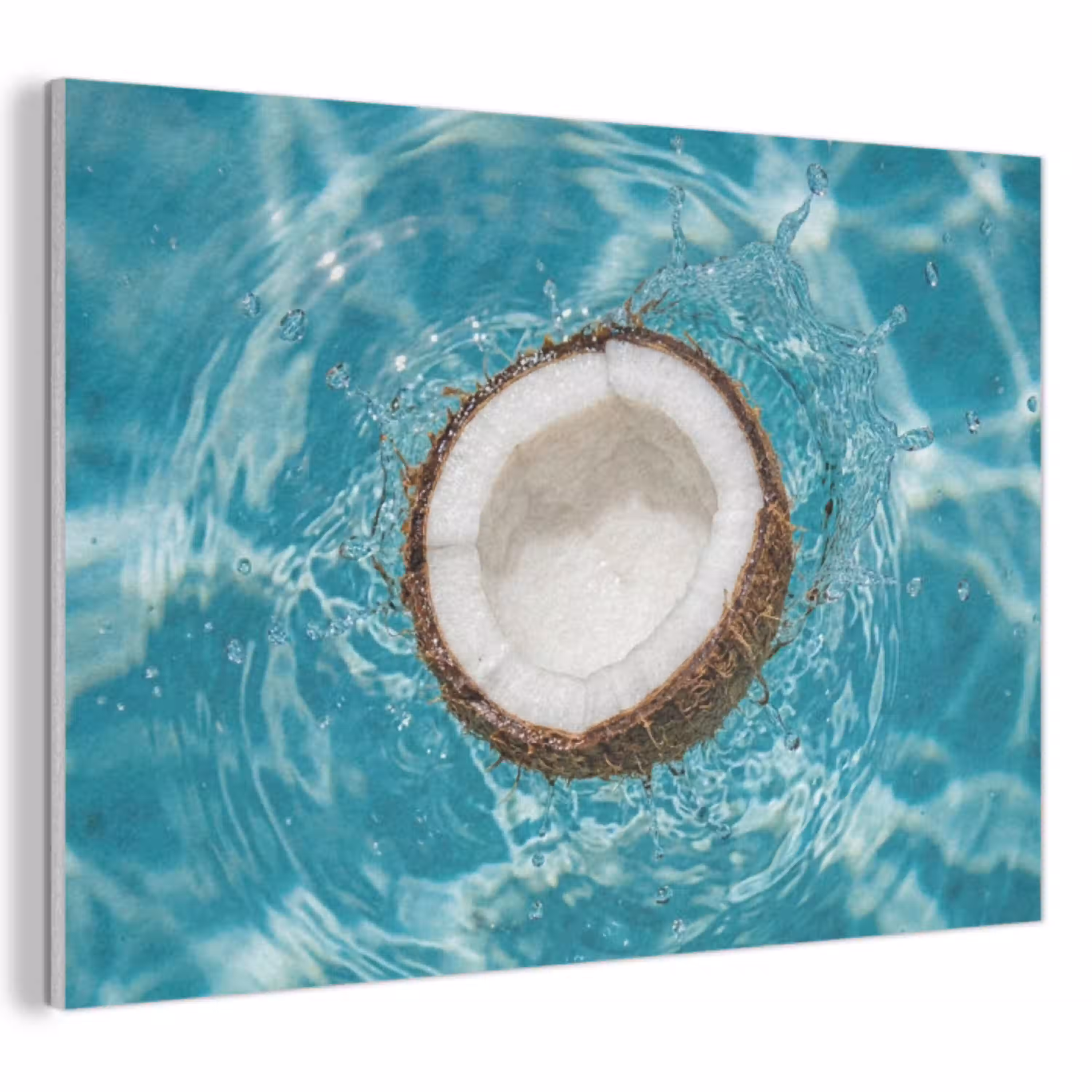 Kokosnoot - Water - Wit PET vilt klein -3d