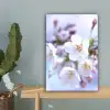 Bloemen - Sakura - Tak - Bloesem takken canvas 2cm klein -sfeer4
