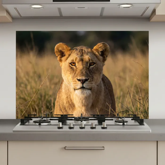 Leeuwin - Gras - Geel keuken achterwand spatscherm klein -3d_website