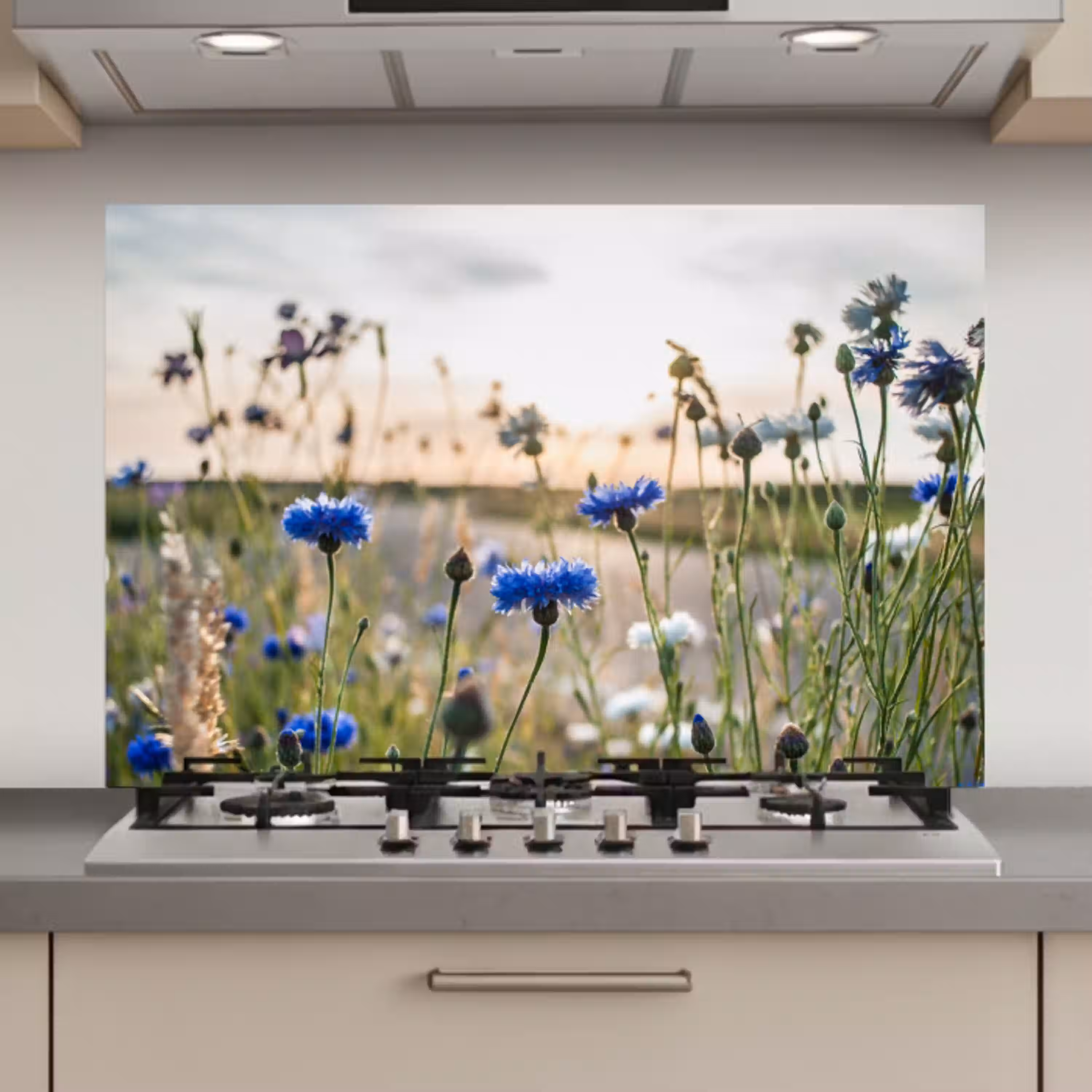 Bloemen - Zomer - Korenbloem - Blauw - Zon - Wolken keuken achterwand spatscherm klein -3d_website