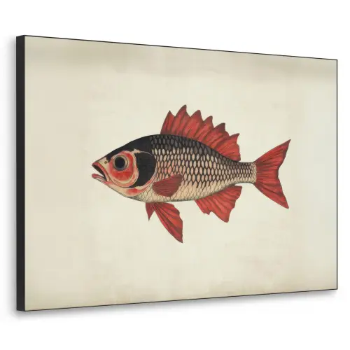 Schubben - Rood - Vis - Vinnen Textielframe zwart klein -3d