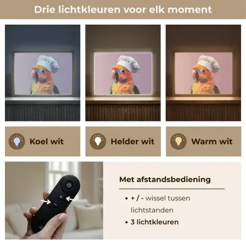Papegaai - Koksmuts - Nieuwsgierig - Vogel Light Box met batterij (Wandlamp) middel -USP_lichtkleurNL