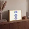 Schelpen - Blauw - Patroon Light Box met batterij (Wandlamp) middel -sfeer2