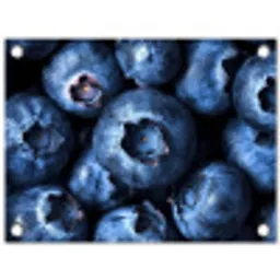 Bessen - Blauw - Fruit tuinposter los doek klein -3d
