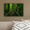 Jungle - Brug - Mos - Natuur - Tropisch canvas 2cm klein -sfeer3
