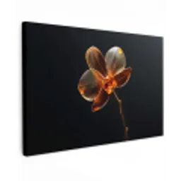 Orchidee - Doorzichtig - Bloem Tuinposter op houten frame 2 cm dik klein -3d